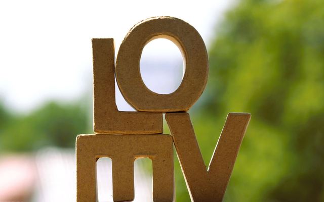 Letras de papelão formando a palavra LOVE sobre fundo verde